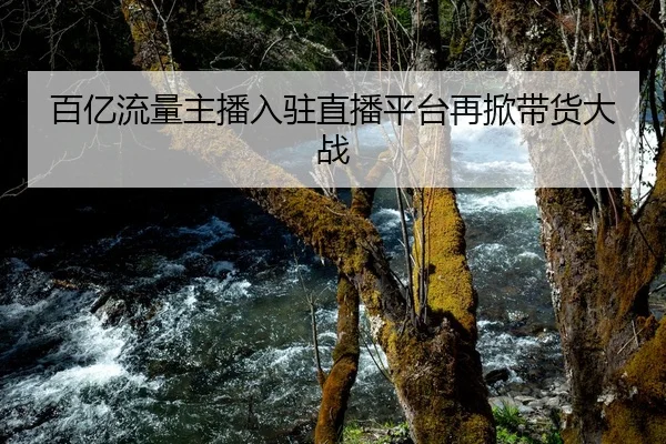 百亿流量主播入驻直播平台再掀带货大战